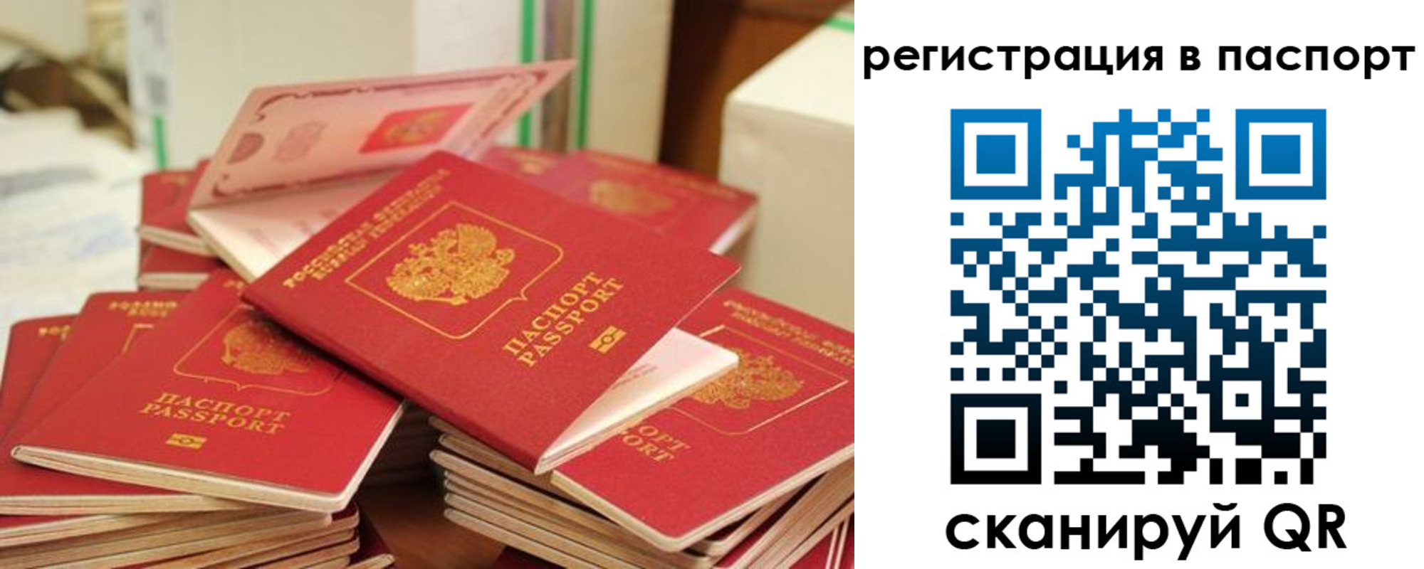 регистрация для школы в Гвардейске
